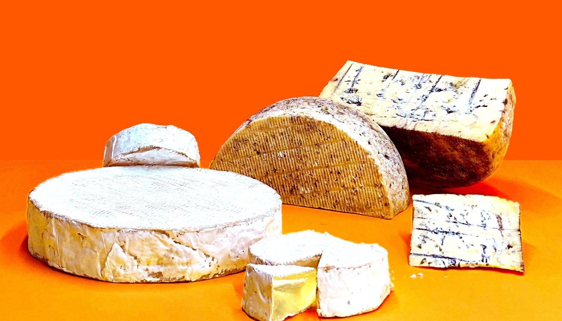 www.secondmousecheeseco.com.au | Artisan Cheese Producer